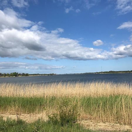 Strandgut Wackerballig Gelting Exteriör bild