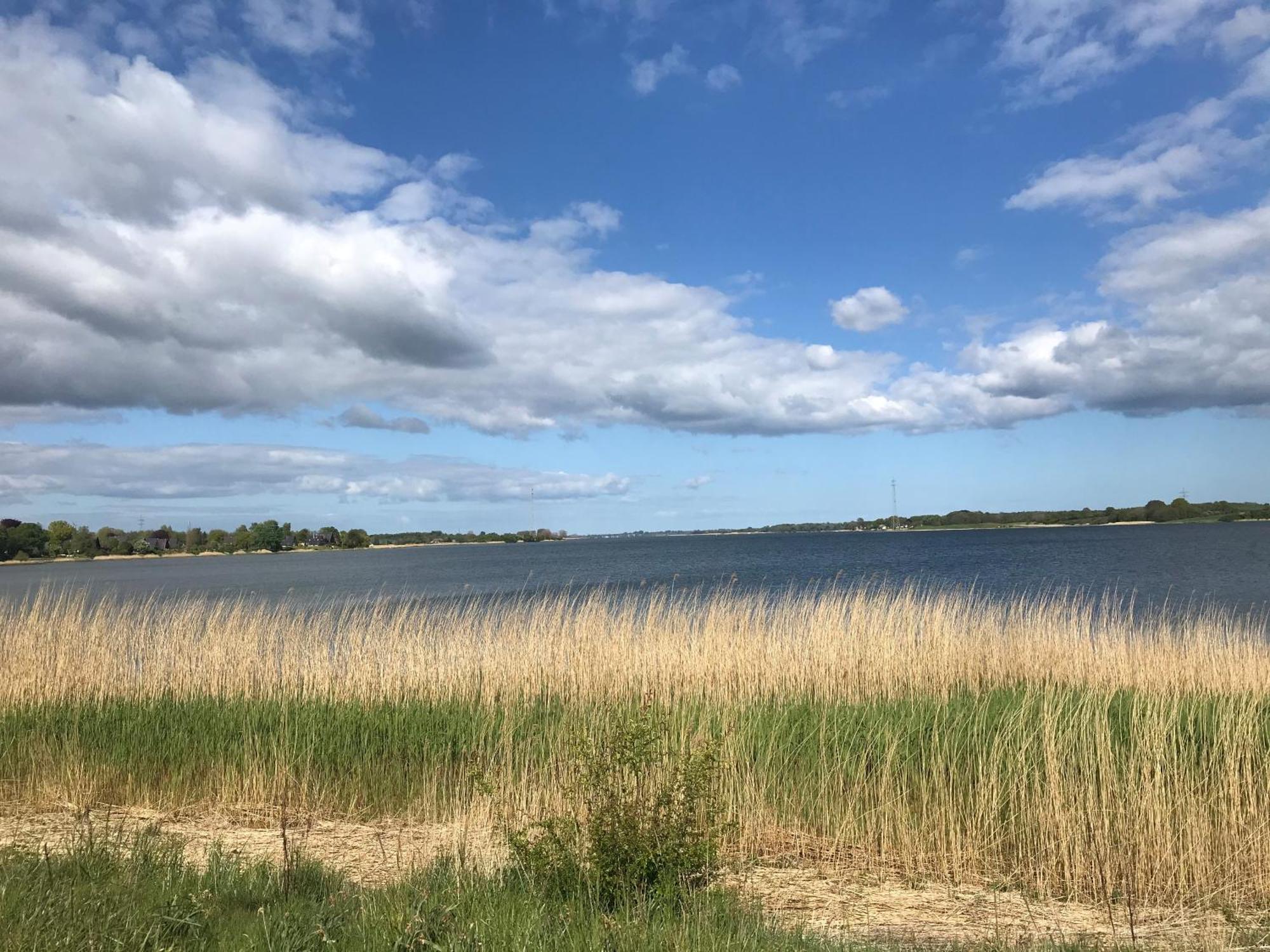 Strandgut Wackerballig Gelting Exteriör bild